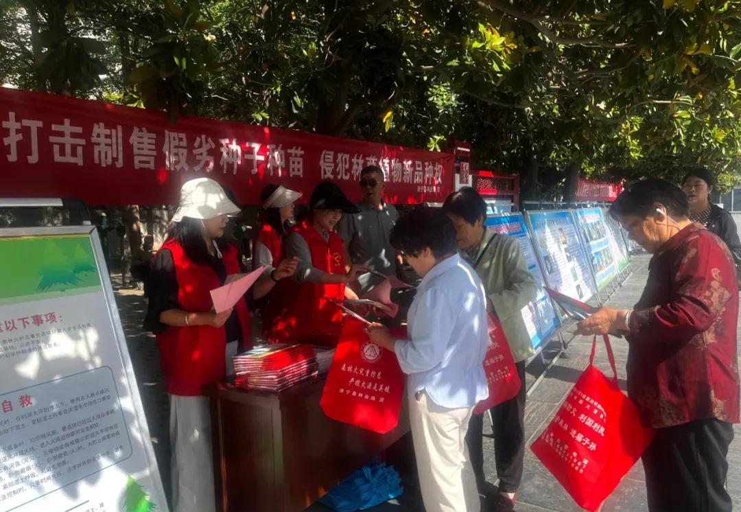 图片4.jpg